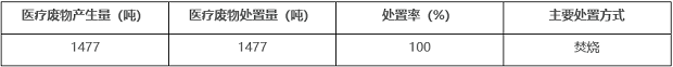 醫(yī)療廢物處置情況表